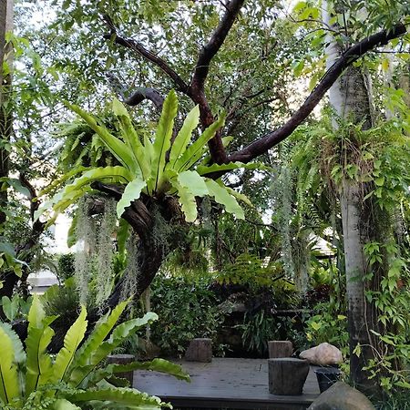 Sareeviengping Hotel Chiangmai Chiang Mai Exterior foto