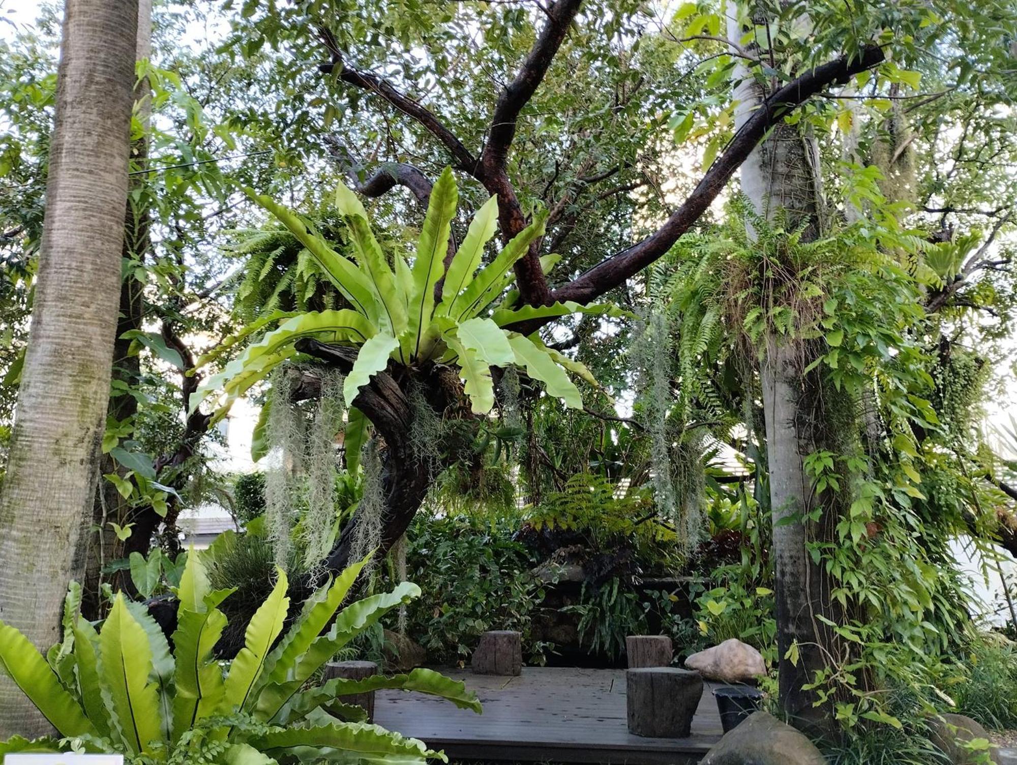 Sareeviengping Hotel Chiangmai Chiang Mai Exterior foto